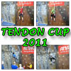 ikona Tendon